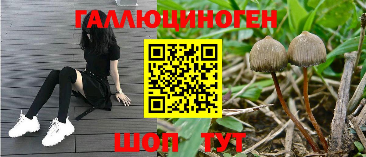 Мефедрон Россия